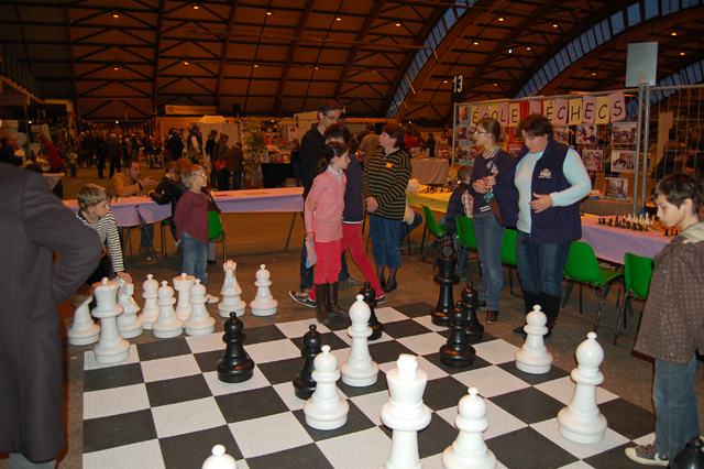 Forum du Jouet - Echiquier ledonien 20_novembre___9_.jpg (large)