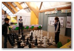 Forum du Jouet - Echiquier ledonien: 19_novembre__2_.jpg