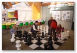 Forum du Jouet - Echiquier ledonien: 19_novembre__4_.jpg