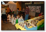 Forum du Jouet - Echiquier ledonien: 19_novembre__7_.jpg