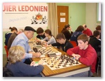 echiquier ledonien