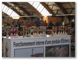 Maxi-Tournoi scolaire d'échecs 2012 - Echiquier ledonien: 321.jpg