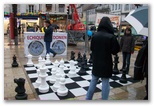 Téléthon 2011.Lons le Saunier 2 & 3 décembre - Echiquier ledonien: 14.jpg
