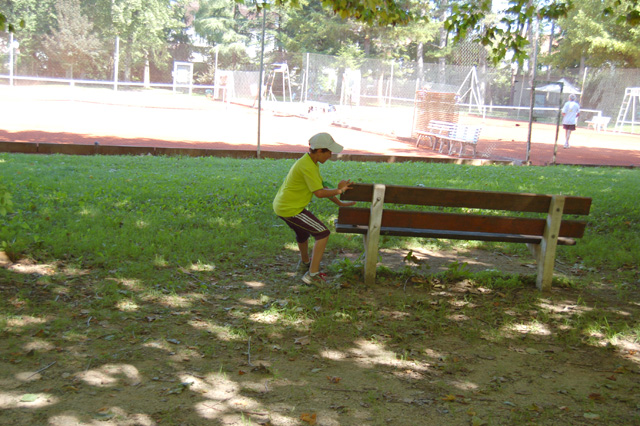 Virvolte.Parc des bains, Lons le Saunier le 25 juillet 2012 - Echiquier ledonien blitz__3_.jpg (large)