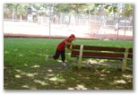 Virvolte.Parc des bains, Lons le Saunier le 25 juillet 2012 - Echiquier ledonien: blitz__5_.jpg