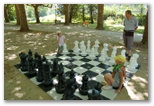 Virvolte.Parc des bains, Lons le Saunier le 25 juillet 2012 - Echiquier ledonien: virvolte__26_.jpg