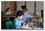 Accueil mi-février 2013 - Echiquier ledonien: dsc_1313.jpg