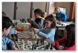 Accueil mi-février 2013 - Echiquier ledonien: dsc_1314.jpg