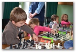P'tits Pions 11 novembre 2012 - Echiquier ledonien: dsc_0237.jpg