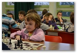 P'tits pions le 20 janvier 2013 - Echiquier ledonien: dsc_0764.jpg