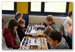 Championnat scolaire d’Echecs à Saint Exupéry  - Echiquier ledonien: champ__scol__2013__40_.jpg