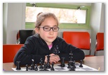 P'tits pions du 17 mars 2013 - Echiquier ledonien: dsc_0013.jpg