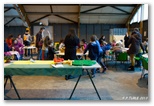 Forum du Livre du Jeu et de la Jeunesse - 2013 - Echiquier ledonien: pascal_turle_forum_2013__4_.jpg