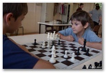 Journée porte ouverte pour l'école d'échecs à la salle du Couchant le samedi 7 septembre 2013 - Echiquier ledonien: pascal_turle_portes_ouvertes_2013__5_.jpg