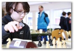 N2 & N4 Jeunes ronde goupée,Le  24 et 25 janvier 2015 - Echiquier ledonien: pascal_turle_nii_niv_2015__104_.jpg