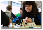 N2 & N4 Jeunes ronde goupée,Le  24 et 25 janvier 2015 - Echiquier ledonien: pascal_turle_nii_niv_2015__168_.jpg