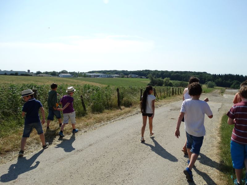  Finale nationale des Ecoles 2015 .Lons le Saunier les 5,6 & 7 juin 2015 - Echiquier ledonien dsc00382.jpg (large)