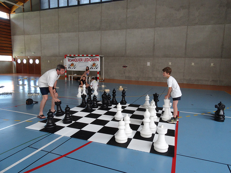 Ideklic 2015 - Echiquier ledonien ideklic_2015__18_.jpg (large)