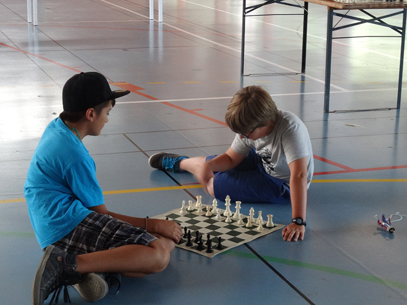 Ideklic 2015 - Echiquier ledonien ideklic_2015__19_.jpg (large)