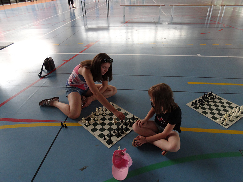 Ideklic 2015 - Echiquier ledonien ideklic_2015__21_.jpg (large)