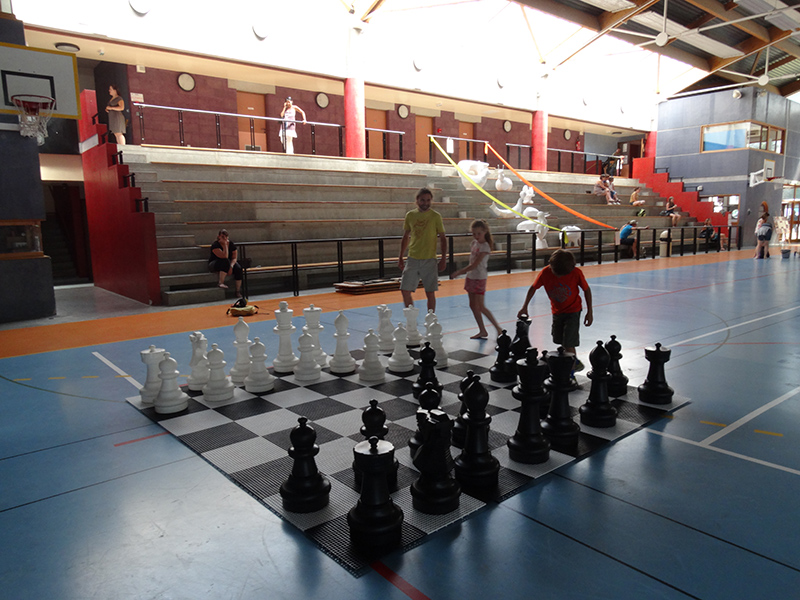 Ideklic 2015 - Echiquier ledonien ideklic_2015__23_.jpg (large)
