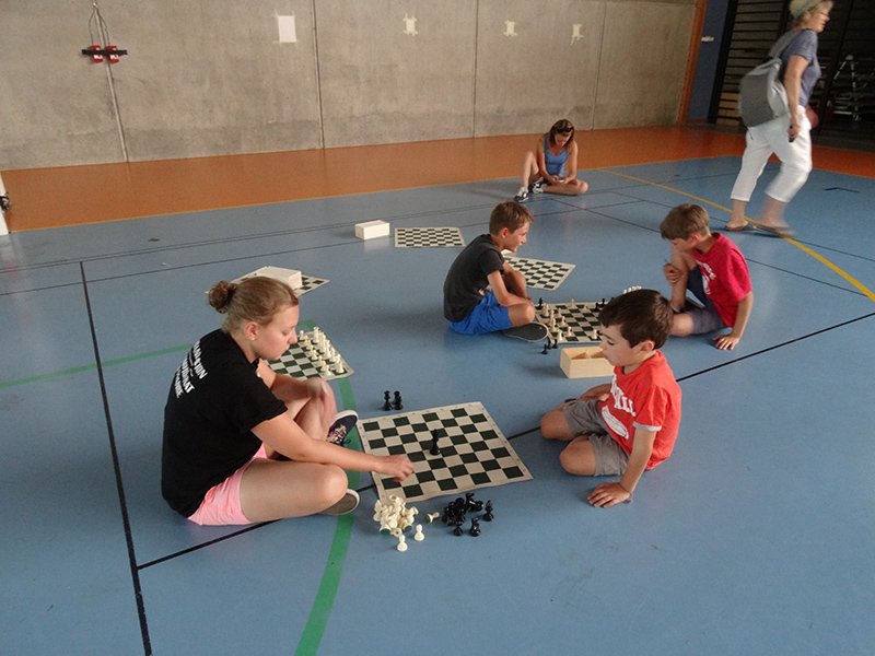 Ideklic 2015 - Echiquier ledonien ideklic_2015__37_.jpg (large)