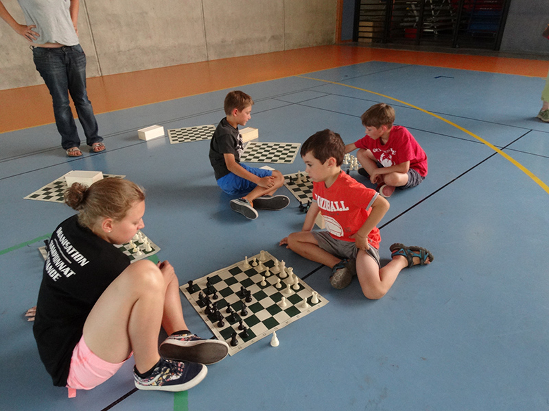 Ideklic 2015 - Echiquier ledonien ideklic_2015__41_.jpg (large)