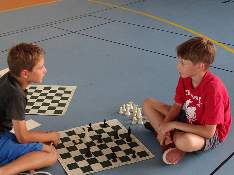 Ideklic 2015 - Echiquier ledonien ideklic_2015__45_.jpg (large)