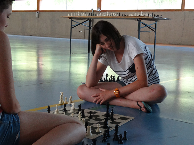 Ideklic 2015 - Echiquier ledonien ideklic_2015__47_.jpg (large)