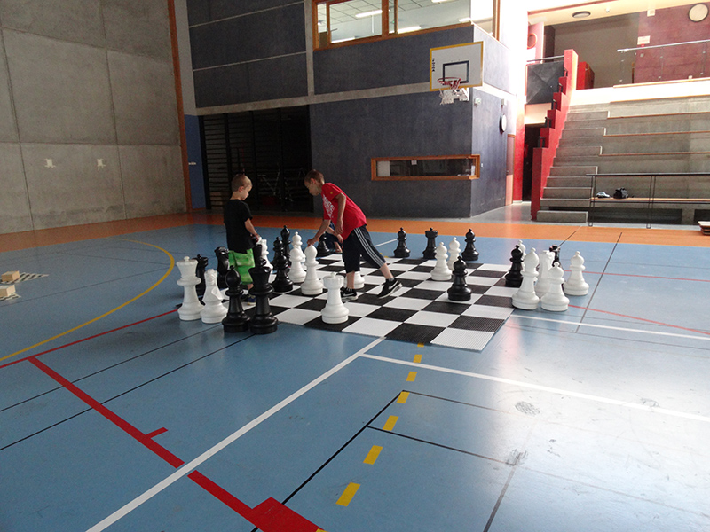 Ideklic 2015 - Echiquier ledonien ideklic_2015__4_.jpg (large)
