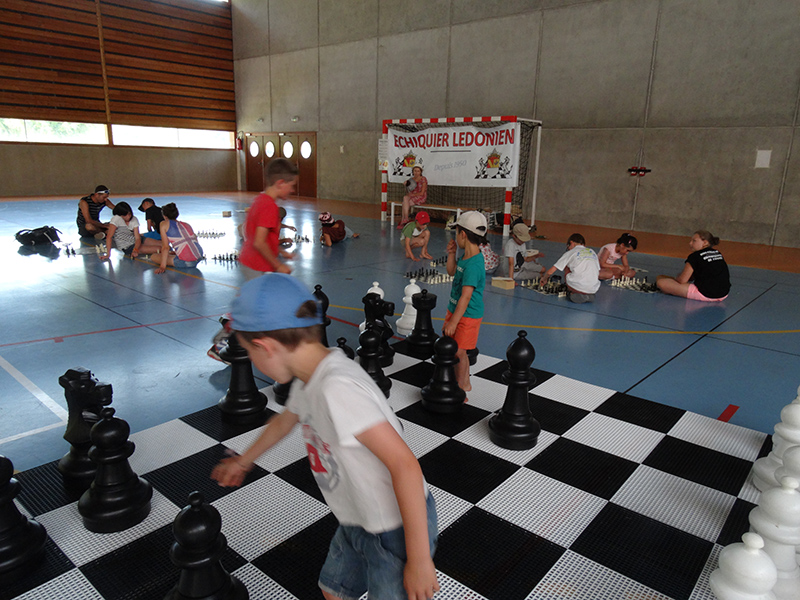 Ideklic 2015 - Echiquier ledonien ideklic_2015__61_.jpg (large)