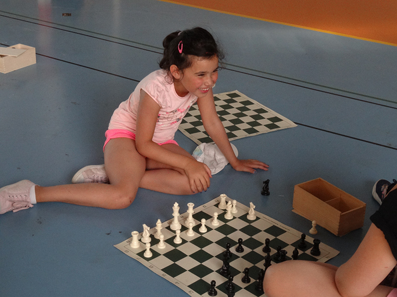 Ideklic 2015 - Echiquier ledonien ideklic_2015__62_.jpg (large)