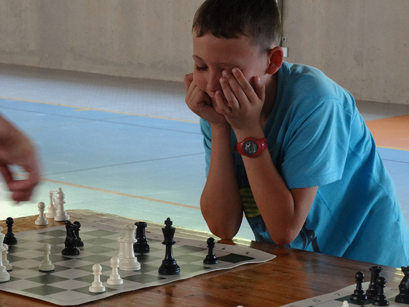 Ideklic 2015 - Echiquier ledonien ideklic_2015__82_.jpg (large)