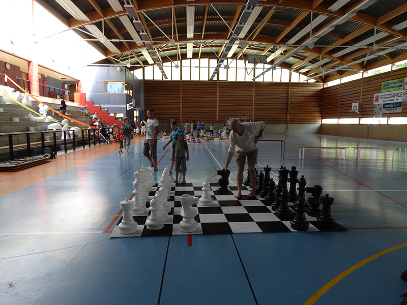 Ideklic 2015 - Echiquier ledonien ideklic_2015__84_.jpg (large)