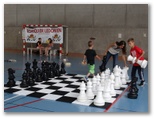 Ideklic 2015 - Echiquier ledonien: ideklic_2015__11_.jpg