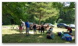 Fête du Club Accrobranche -  Barbecue - Plage 2017 - Echiquier ledonien: 20170624_150516.jpg
